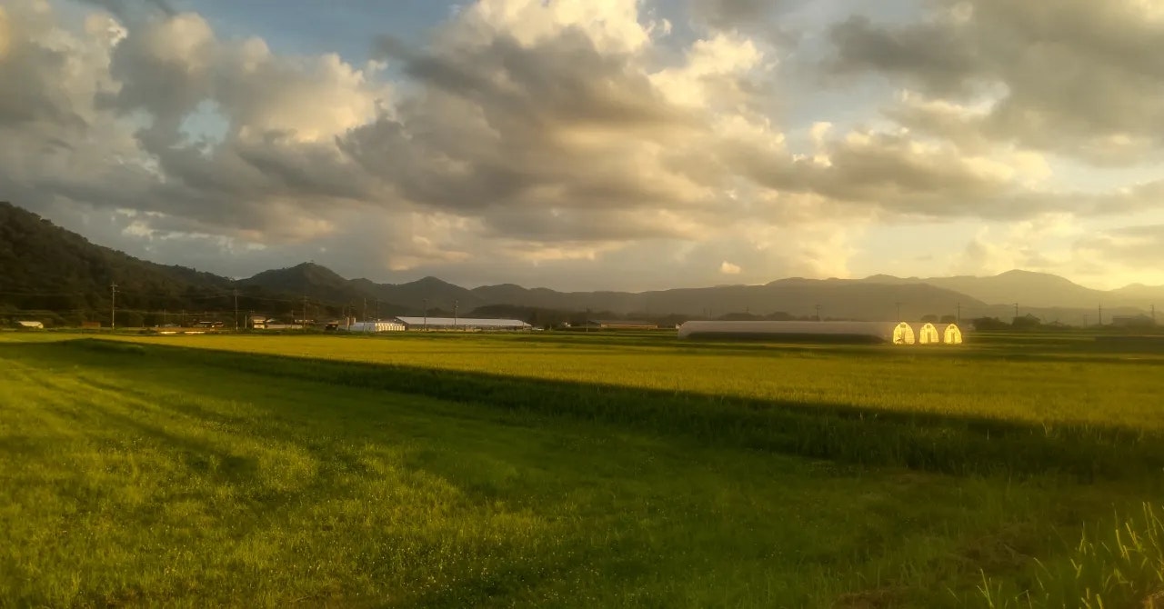 自然に癒されながら、接客がもっと好きになった｜ひるぜん塩釜キャンピングヴィレッジ（岡山県・蒜山高原）で働いたリゾートバイト体験談