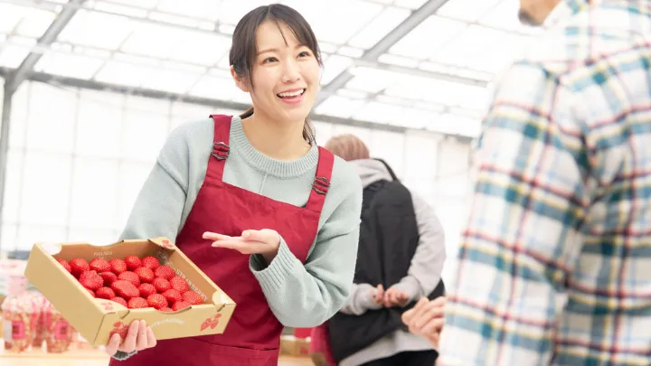 朝市 値段交渉の様子 イメージ画像