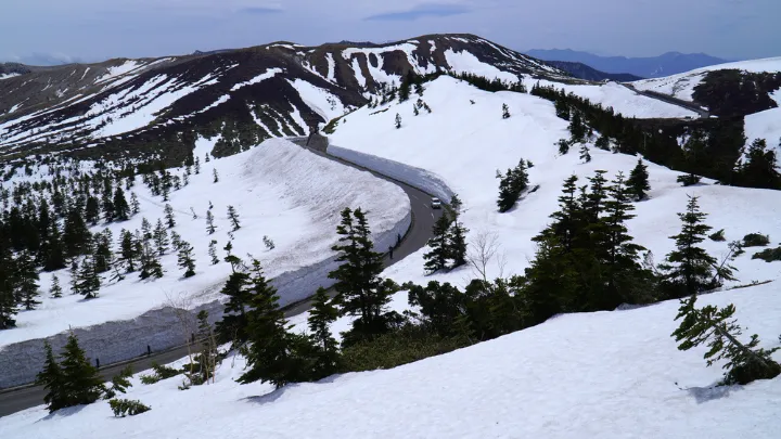 志賀草津高原 雪の回廊の様子