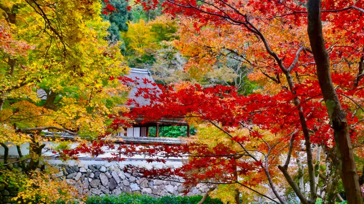 正暦寺