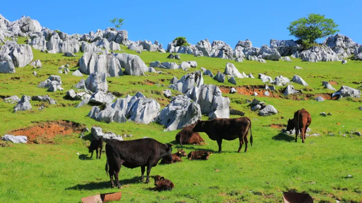 四国カルストの景色