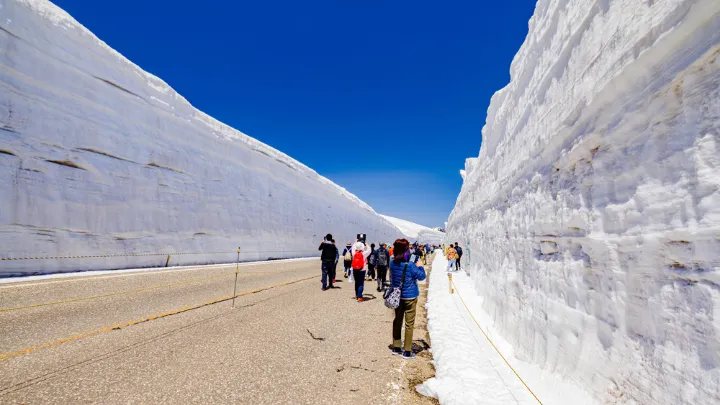 雪の大谷ウォークの様子