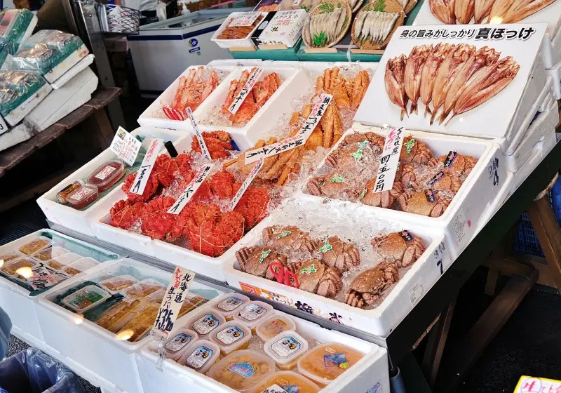 【夏の北海道】小樽・函館