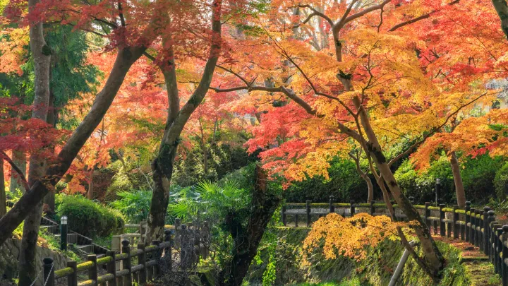 根来寺