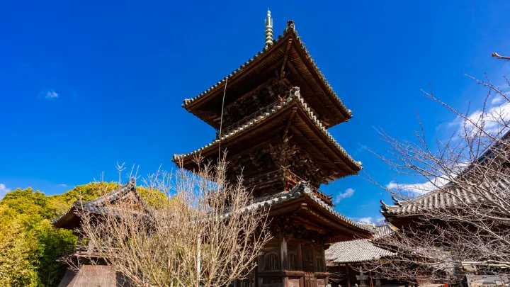 本蓮寺