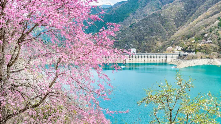 東京都奥多摩町 奥多摩湖