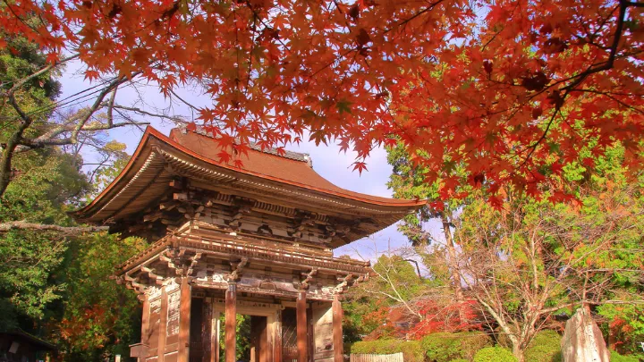 三井寺