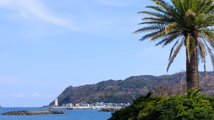 伊東温泉 過ごし方