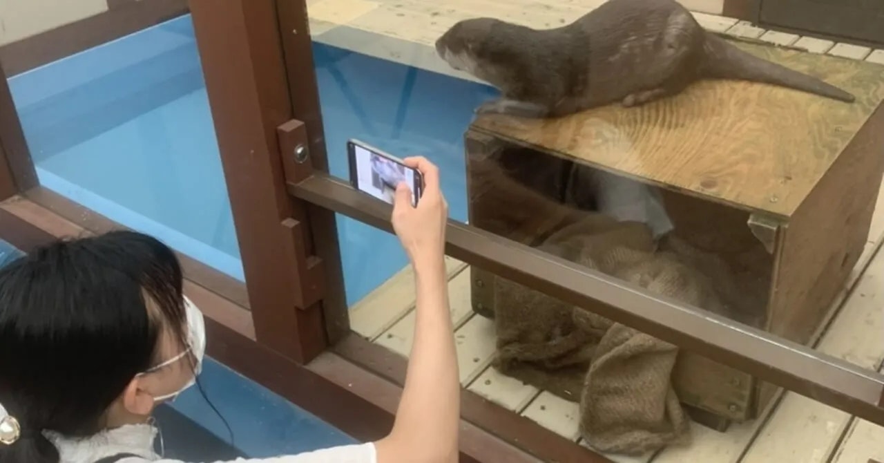 海と自然に背中を押されて|旅荘 海の蝶(三重県・伊勢市)で働いたリゾートバイト体験談