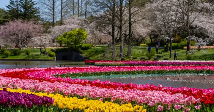 浜松のレジャー施設