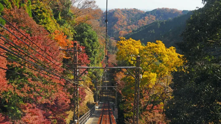 高尾山