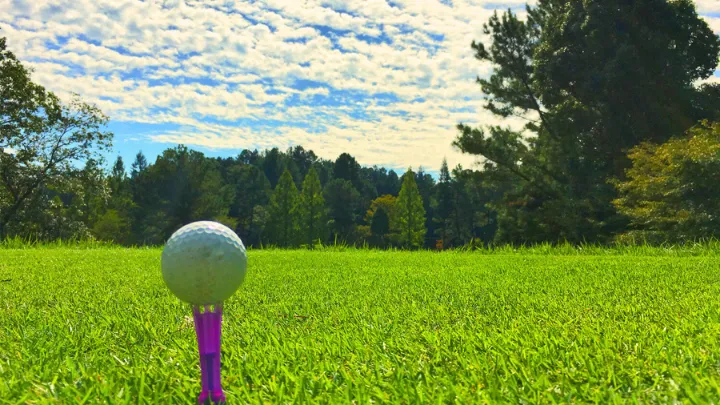 ゴルフ場の景色