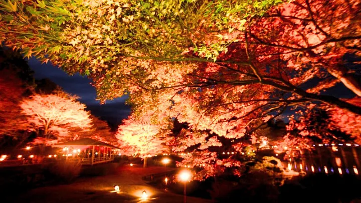 修善寺の雰囲気