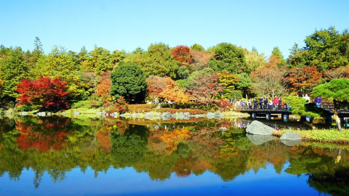 国営昭和記念公園
