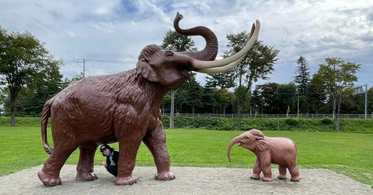 憧れのカウンターの内側に立ってみた｜星野リゾート・トマム（北海道・トマム）で働いたリゾートバイト体験談