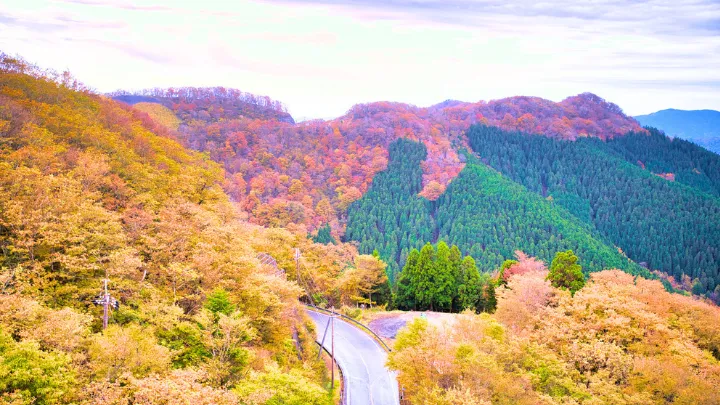 護摩壇山