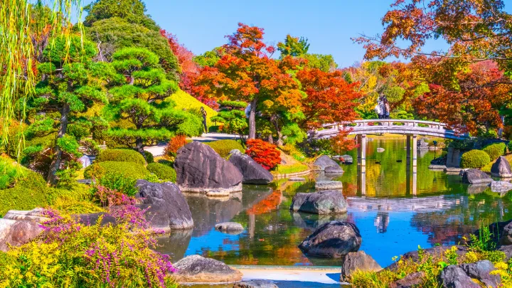 大仙公園日本庭園