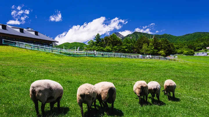 山梨県北杜市の景色