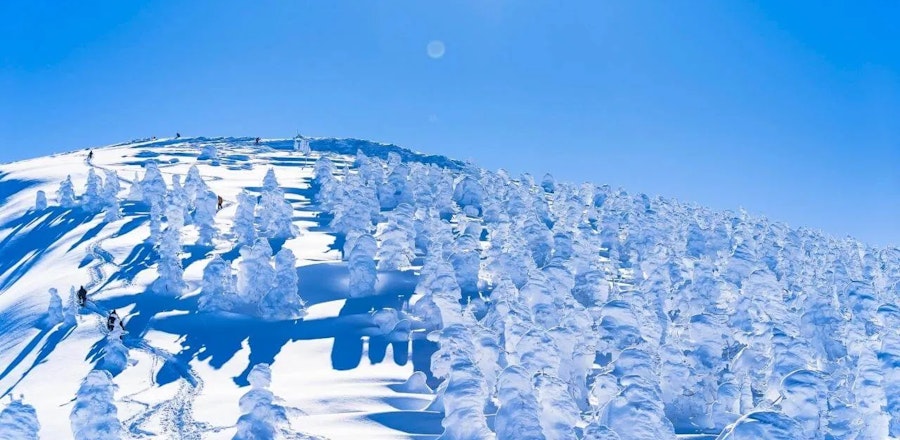 東北のリゾートバイト特集