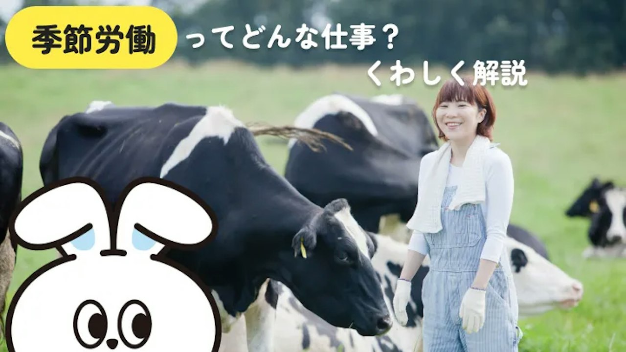 季節労働(季節雇用)とは?意味・仕事例・保険の条件を解説