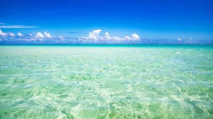 百合ヶ浜の景色