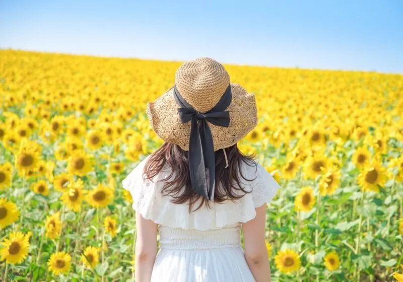 避暑地 夏 暑い イメージ