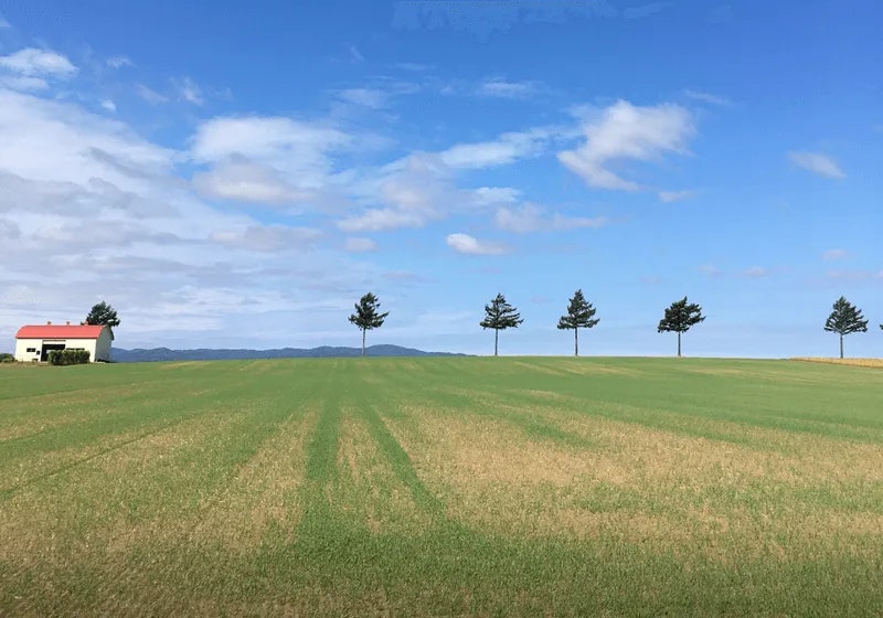 知床のリゾートバイト体験談