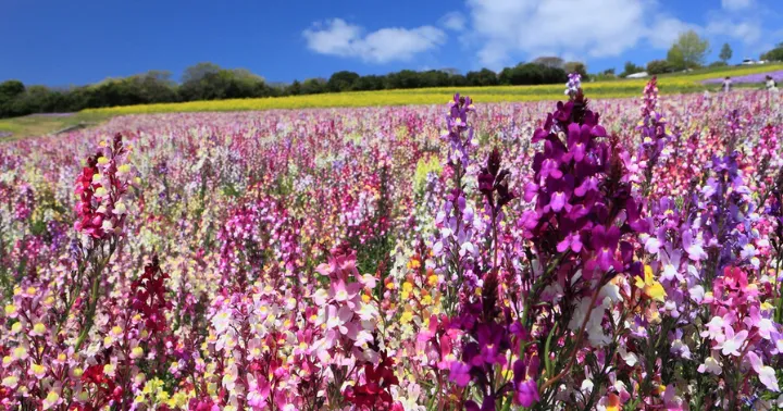 淡路島の癒しスポット