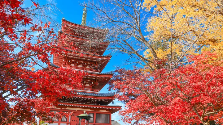 本土寺