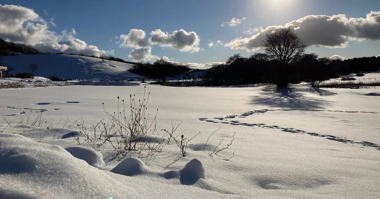 勢いで飛び込んだら、世界が広がった｜休暇村 奥大山（鳥取県・奥大山）で働いたリゾートバイト体験談