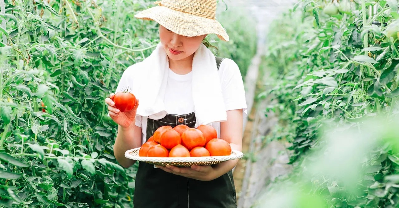 農業・酪農のリゾートバイト特集