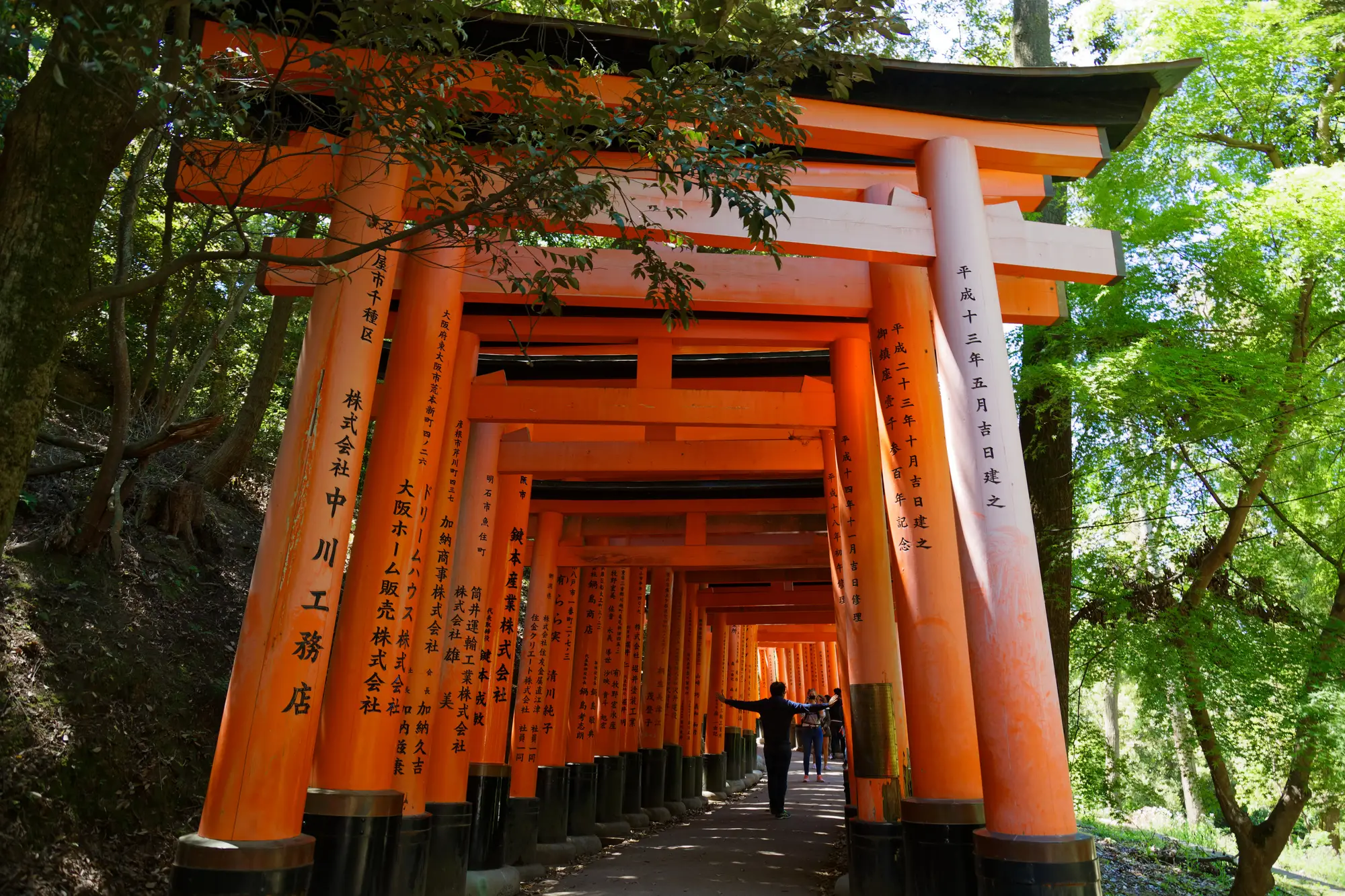 京都府の見どころ写真