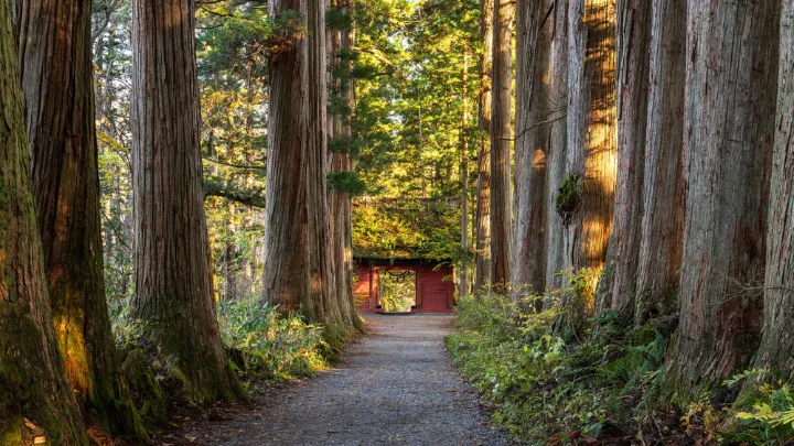 戸隠神社