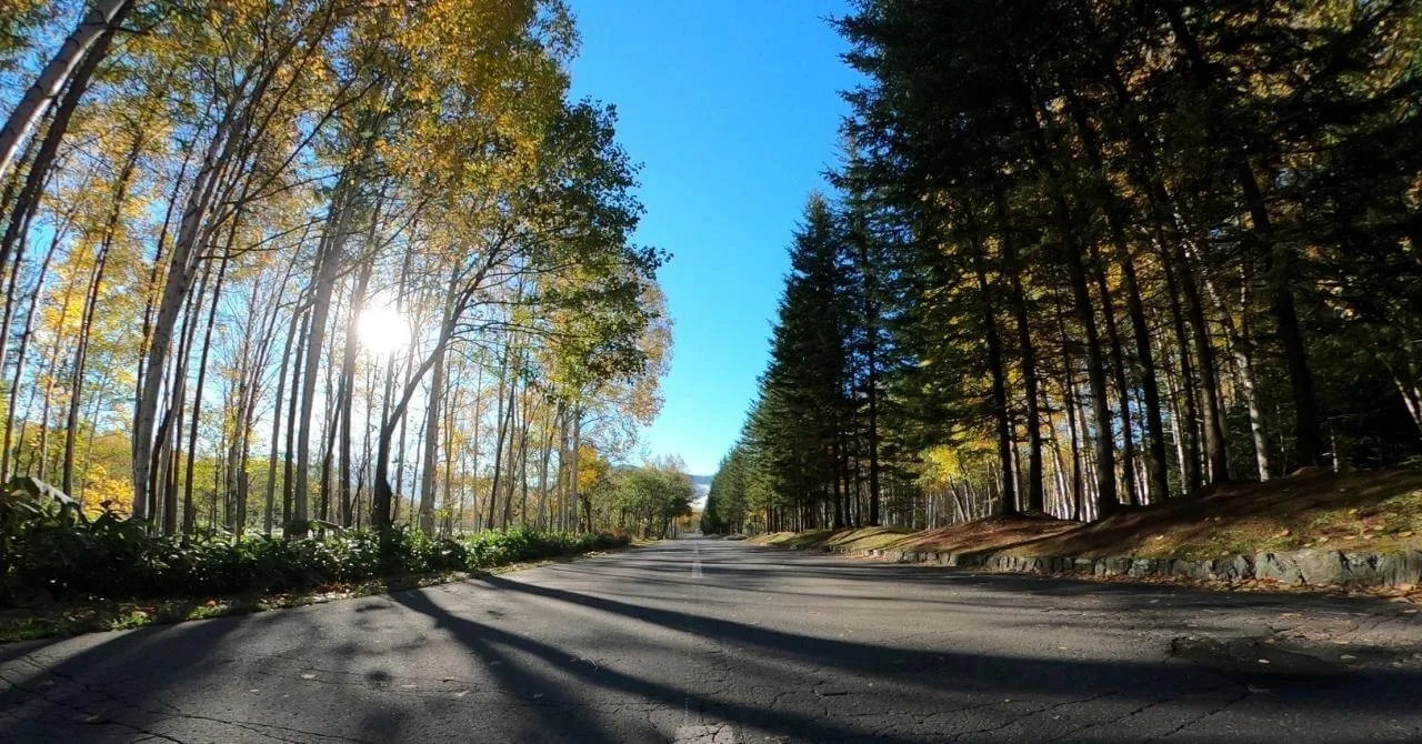 あのとき受けたおもてなしが、忘れられなくて｜星野リゾート・トマム（北海道・トマム）で働いたリゾートバイト体験談