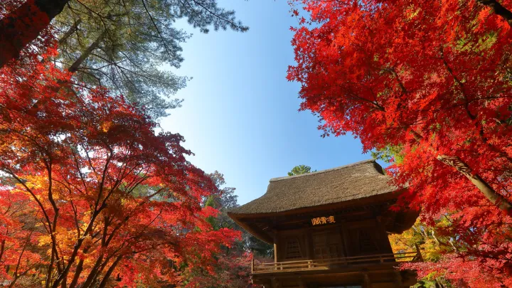 平林寺