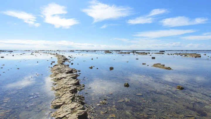 鵜ノ崎海岸の景色