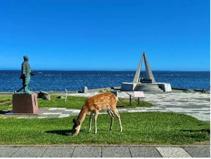 稚内ってどんなところ?