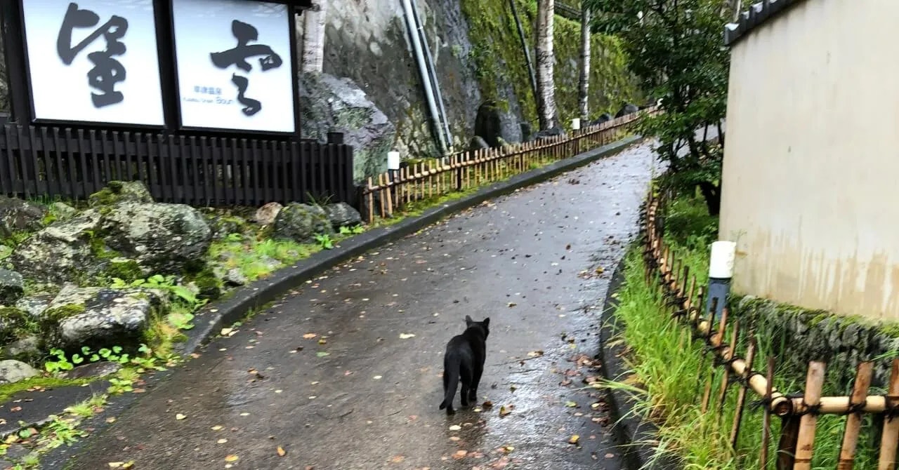 新しいことに挑戦したくて、ここに来た｜ホテル望雲（群馬県・草津温泉）で働いたリゾートバイト体験談