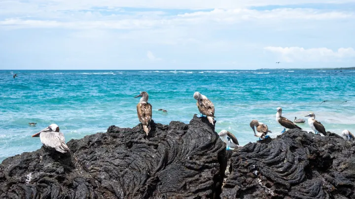 エクアドル ガラパゴス諸島の風景