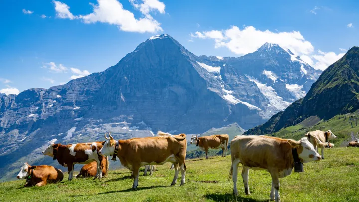 スイス グリンデルワルドの景色2