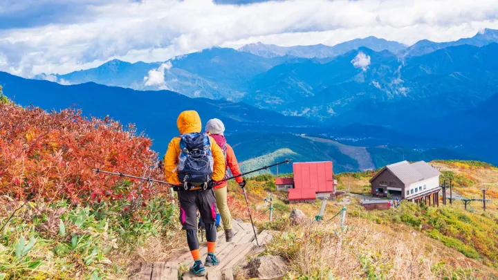 八方池 トレッキングコースの様子
