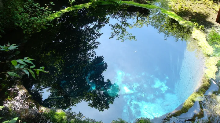 静岡県 柿田川 柿田川公園第二展望台の湧き間