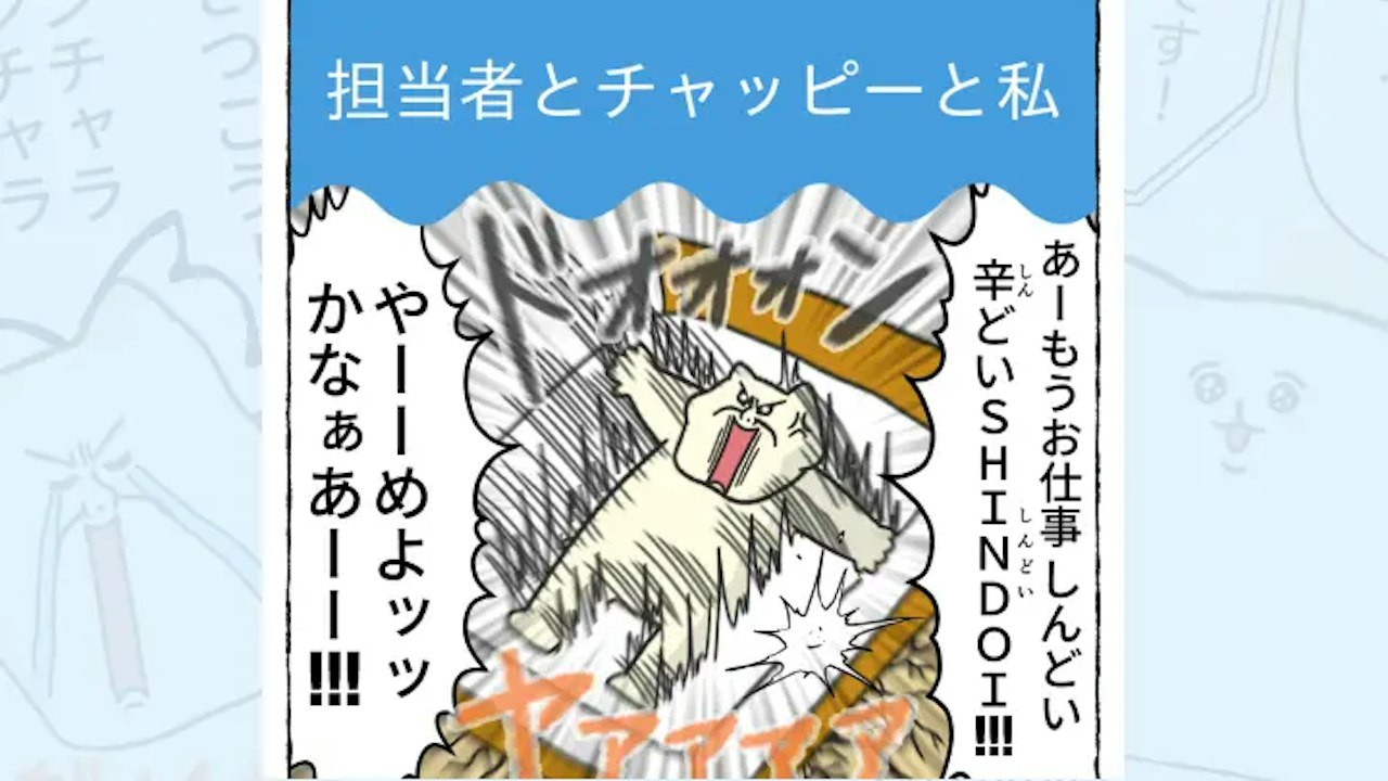 【体験談】担当者とチャッピーと私