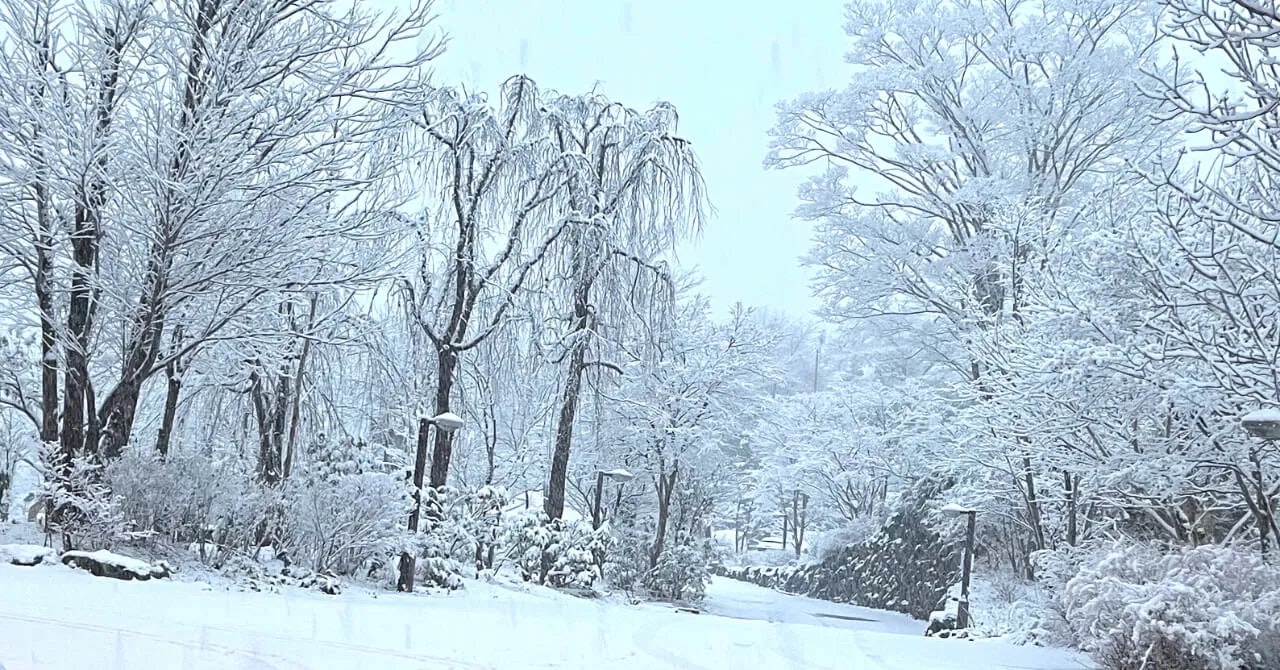 未知の温泉地で、視野が広がった｜山ノ神温泉 優香苑（岩手県・花巻温泉）で働いたリゾートバイト体験談