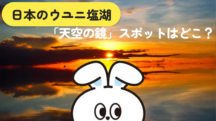 日本のウユニ塩湖12選｜2026年の見頃&撮影テクも網羅
