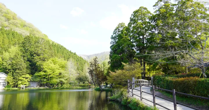 由布院温泉 金鱗湖