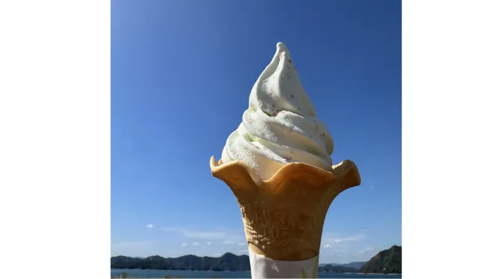 伯方塩業 大三島工場 塩ソフトクリーム