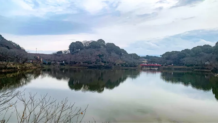 福岡県 冬の様子