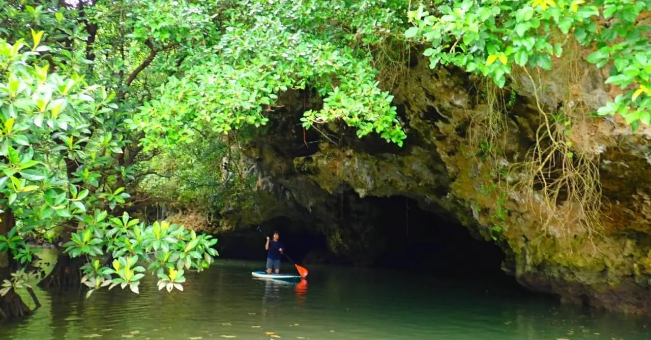 気分転換のつもりが、本気の成長になった｜無碍山房 石垣（沖縄県・石垣島）で働いたリゾートバイト体験談