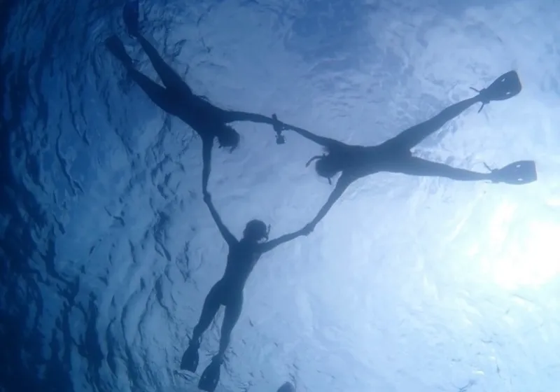 マリン系：自然とふれあえる職種